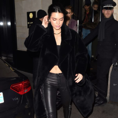 The Minka Long Sleeve on Kendall Jenner in Who What Wear